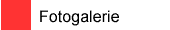 Fotogalerie
